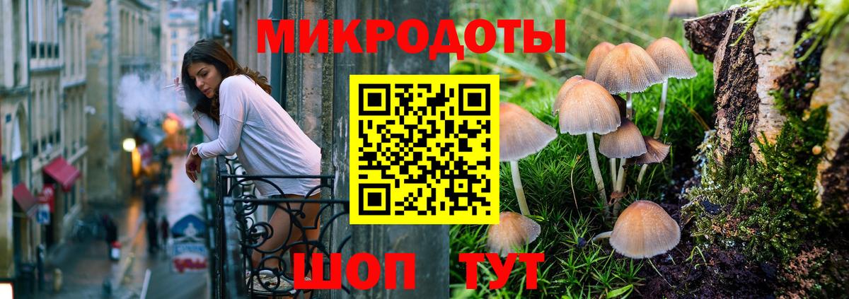Галлюциногенные грибы Psilocybe Асино