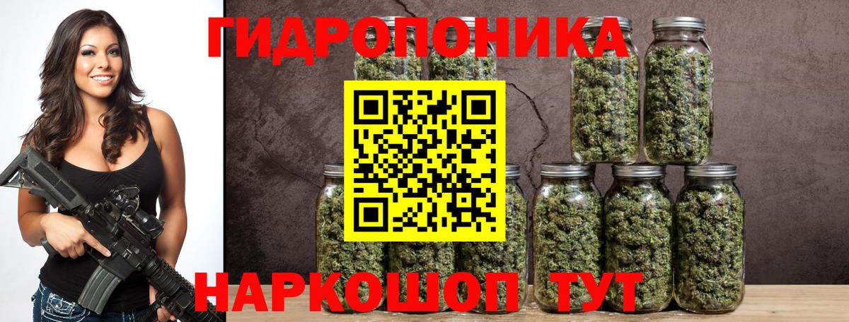 Марихуана OG Kush  Вход с VPN  Асино  Каннабис сатива  Шишки марихуана AK-47 